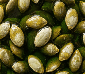 Olio di semi di zucca